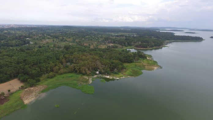 Waduk Duriangkang, lokasi penanaman pohon oleh PT TDK Electronics Indonesia dan BP Batam, Sabtu (20/11/21). Foto: Dok BP Batam