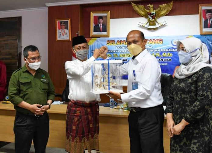 Rapat Teknis Dirjen Perikanan Budidaya KKP RI bersama Dinas Kelautan dan Perikanan se-Provinsi Kepulauan Riau di Kantor Gubernur Dompak, Tanjungpinang, Jumat (12/11/21). Foto: Dok Pemprov Kepri