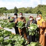 Gubernur Plot Sektor Pertanian Jadi Salah Satu Motor Penggerak Ekonomi Kepri