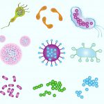 Waspada Varian Omicron, Pemerintah Dorong Vaksinasi bagi Kelompok Rentan dan Anak-Anak