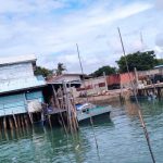 Aktifitas Bongkar Muat Pelabuhan Tikus Tanjunguban Dinilai Belum Tersentuh Hukum