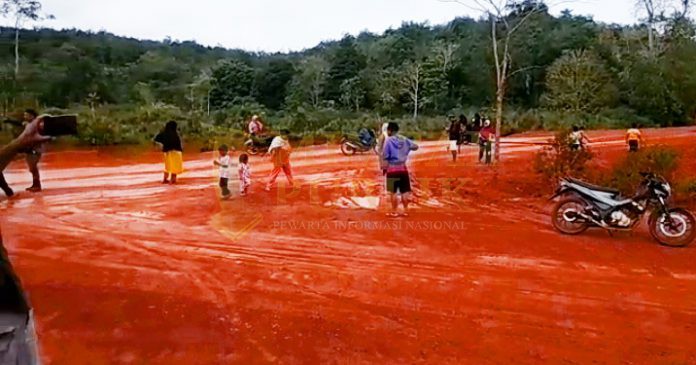 IMG-20220213-WA0011