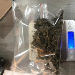 Bea Cukai Batam Gagalkan Pengiriman Paket Ganja dalam Karburator Tujuan Jakarta