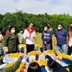 Kunjungan Ke Kabupaten Karo, Jokowi Tinjau Kampung Jeruk Liang Melas Datas