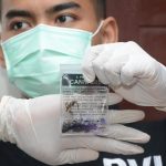 Ditresnarkoba Polda Kepri Musnahkan 156,85 Gram Narkotika Jenis Ganja