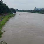 Warga Saling Berlomba Berburu Ikan Karena Kondisi Mabuknya ikan di Sungai Brantas