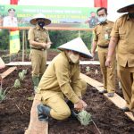 Husni Merza Bersama Dandim0322 /Siak Ranam Nenas Guna Program Ketahanan Pangan