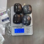 Bea Cukai Batam Gagalkan 811,3 gram Narkotika Jenis Sabu