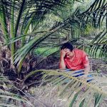 Petani Kelapa Sawit Resah Harga TBS Murah