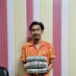 Kurang dari Sepekan, Bea Cukai Batam Gagalkan Pengiriman Dua Paket Ganja