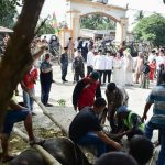 Usai Sholat Idul Adha, Bupati Bengkalis Saksikan Penyembelihan Hewan Qurban