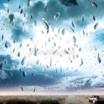 Usai Cuaca Buruk, India Dilanda Hujan Ikan