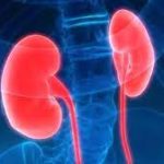 Waspada! Penyakit Misterius Ginjal Akut Sudah 192 Kasus di Indonesia