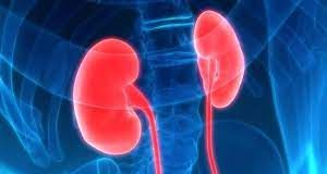 Waspada! Penyakit Misterius Ginjal Akut Sudah 192 Kasus di Indonesia