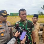Bersama Dandim Bengkalis, Pemdes Mentayan Laksanakan Panen Raya 1000 Hektar