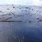 Laut Biru Berubah Menjadi Hitam Akibat Tumpahan Oli Kotor Galangan Kapal PT Paxocean