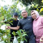 Gubernur Edy Rahmayadi Ingin Contoh Ngrowo Bening Edu Park