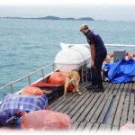 Sinergi Ops Patroli Laut Pandawa, Bea Cukai Batam Tangkap Kapal Bermuatan Barang Ilegal