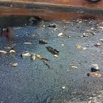 Lanjutan RDP ke-2 Tumpahan Oli, Arlon Veristo: Kita Wacanakan Minggu Depan dan Akan Kita Informasikan