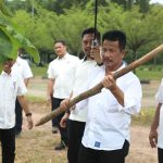 Kepala BP Batam Tinjau Pertumbuhan Pohon Kayu Jati Emas