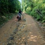 Situasi Jalan Penghubung Dari Desa Penuba Ke Desa Selayar Memprihatinkan