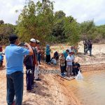Berawal Dari Ikan Lele, Akhirnya Berganti menjadi Ikan Patin