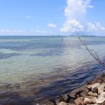 Tidak Tinggal Diam, SatPolairud Polres Bintan Bersama Instansi Terkait Lakukan Pembersihan Tumpahan Minyak Hitam Di Pantai