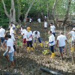 Dalam Rangka Hari Lingkungan Hidup Sedunia PLN Batam Tanam Bibit Mangrove dan Pungut Sampah di Desa Wisata Kampung Terih