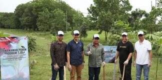 Berkontribusi Kurangi Emisi Karbon, Jasa Raharja Tanam 1.000 Pohon di Lampung