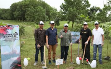 Berkontribusi Kurangi Emisi Karbon, Jasa Raharja Tanam 1.000 Pohon di Lampung