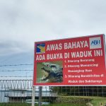 Viral Penampakan Buaya, BP BBM Batam Imbau Masyarakat Waspada