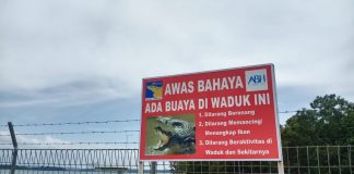 Viral Penampakan Buaya, BP BBM Batam Imbau Masyarakat Waspada