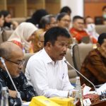 BP Batam Hadiri RDP DPR RI, Bahas Pengembangan Rempang Eco-City