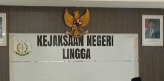 Ketua Pemuda Pancasila Kabupaten Lingga Lakukan Kunjungan ke Kejari Lingga