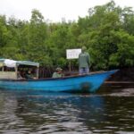 Desa Teluk Pambang, Sukses Turunkan Laju Kerusakan Hutan Mangrove 96 Persen