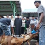 Masjid Al-Mubarak Sembelih 11 Hewan Kurban, Ketua DPRD Septian Nugraha Turut Berkurban dan Hadir Langsung di Lokasi