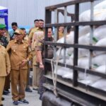 Bupati Kasmarni Lepas Penyaluran 489 Ton Beras CPP 2025 Kepada Masyarakat